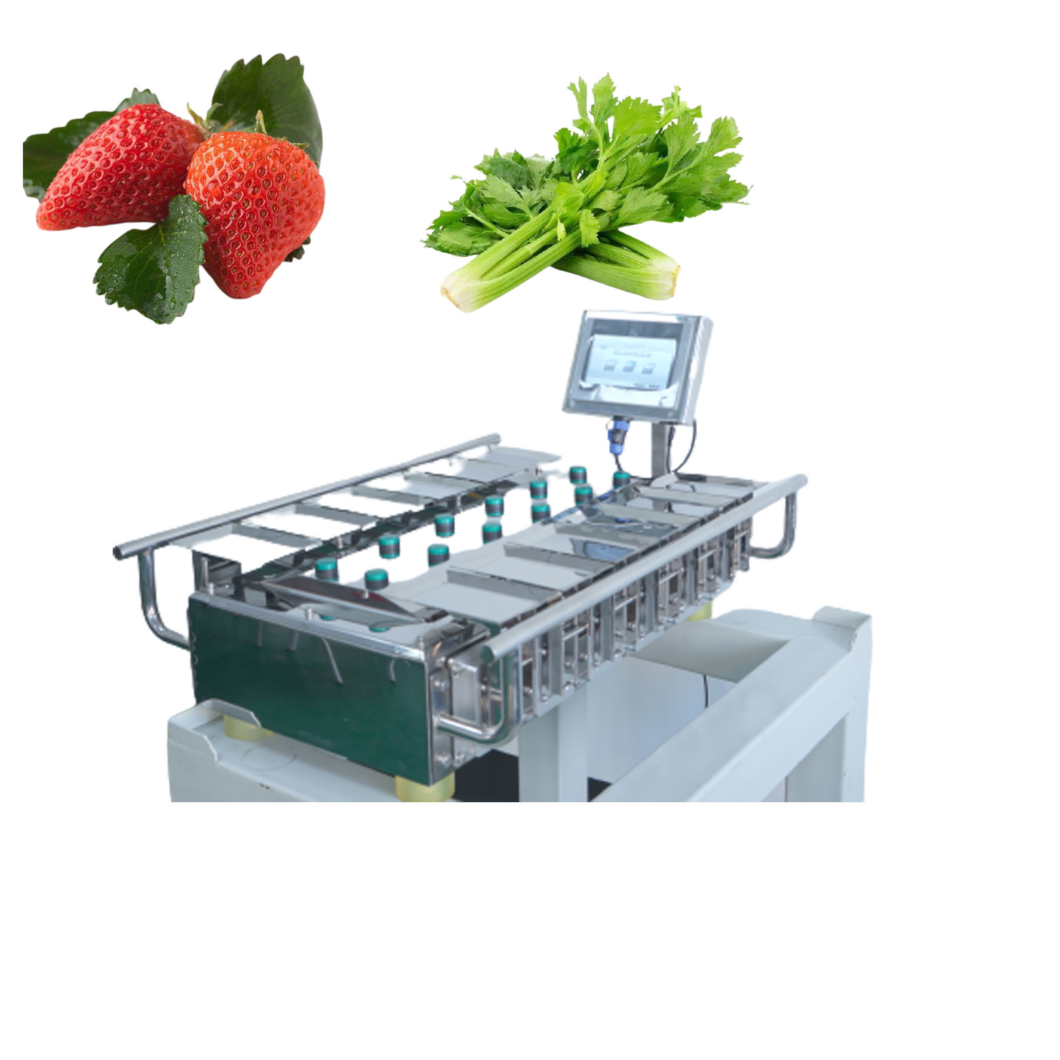 China 250g 500g 1000g Manual Packaging Machine Vegetables Fruits Weighing wholesale