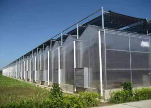China UV Protection PC Sheet Greenhouse , Polycarbonate Hydroponic Greenhouse For Medicine wholesale