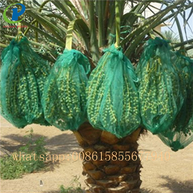 China 100% virgin polyethylene PE net bags for vegetables date palm packaging wholesale