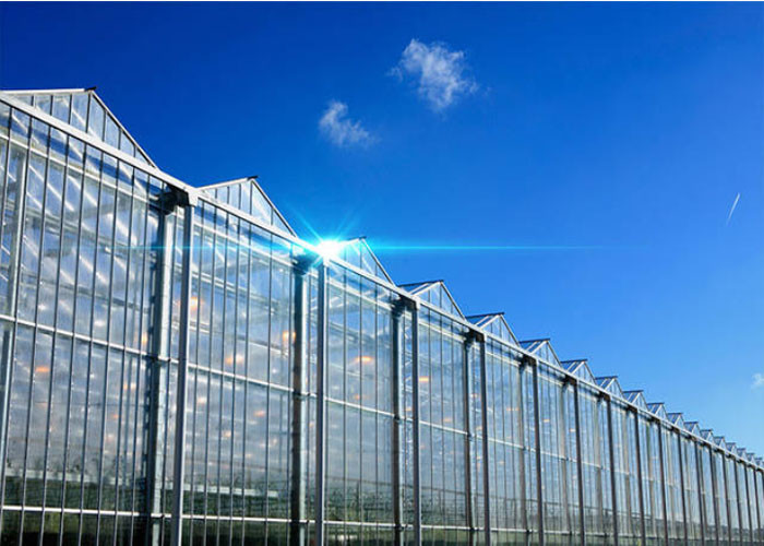 China Hollow Glass Style Agricultural Greenhouse With Hot Galvanized Steel Frame wholesale