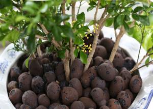 China Aquaponic Hydroponic Clay Balls Customized Size Low Energy Consumption wholesale