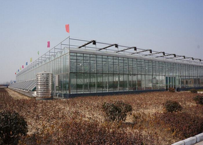 China Commercial Glass Greenhouse , Hydroponic Greenhouse With Climate Control System wholesale