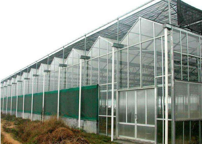 China Agricultural Polycarbonate Sheet Greenhouse Double Arch Multi Span Structure Frame wholesale