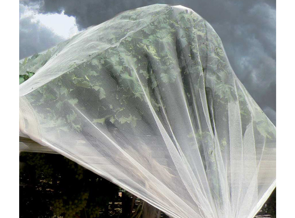 China Anti Hail Net Protects Crops and Fruits From Hail wholesale