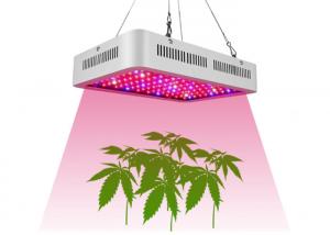 China 1000 Watt Full Spectrum LED Grow Lights For Indoor Hydroponics Plants wholesale