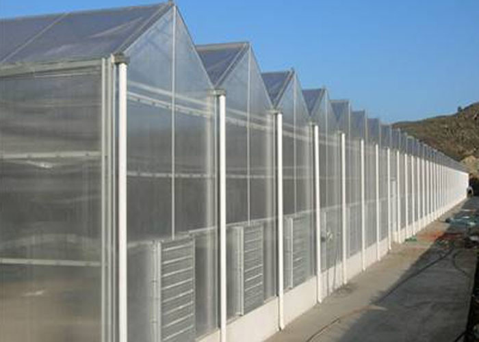 China Single Layer Toughened Glass Greenhouse , Insulating Intelligent Greenhouse wholesale
