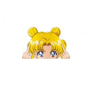 China Sailor Moon Anime Car Stickers Die Cut 3D Motion Lenticular Sticker For Lap Top wholesale