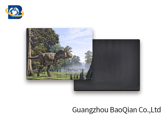 China Dinosaur Picture 3D Fridge Magnets , PP PET PVC Image Custom Fridge Magnets UV Printing Souvenir wholesale