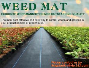 China PP woven weed mat,ground cover, black fabric,weed barrier for agriculture, weed killer fabric, agricultural anti weed ma wholesale