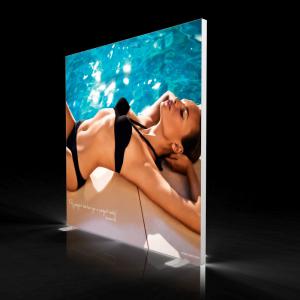 China Customized Colors Backlit Seg Fabric Frames , Frameless Led Light Boxes wholesale