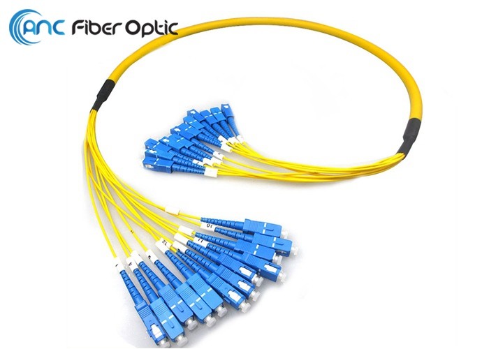 China 12F 24F Fiber Optic Patch Cord wholesale
