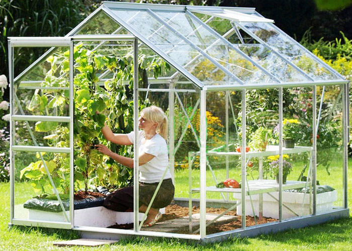 Buy cheap Small Hobby Flower Garden Greenhouse With Casement Door Simple Firm from wholesalers