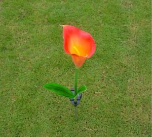 China Solar Flower Calla Lily Walkway Lights, Outdoor LED Solar Powered Garden Lamps for Night Lighting wholesale