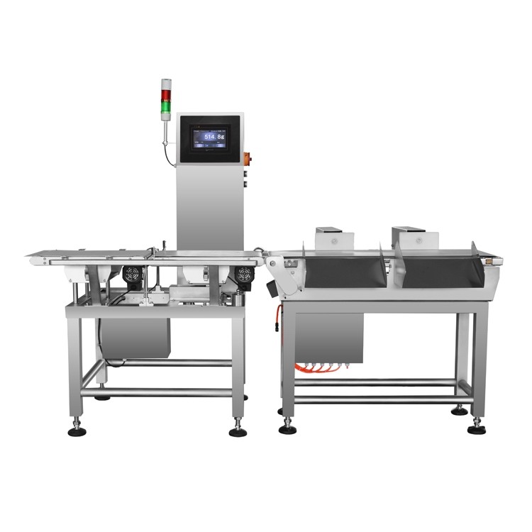 China Automatic Measuring High Speed Checkweigher For Pouch Packaging Machine wholesale