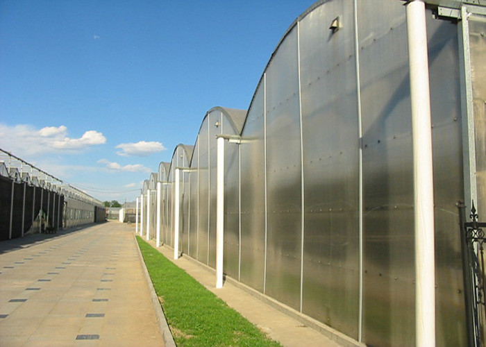 China Flower Large Polycarbonate Greenhouse Strong Thermal Insulation Sides Ventilation wholesale