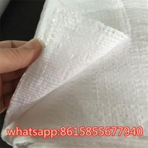 China garden ground cover fabric/weed barrier mat/plastic pp anti weed agro weed control mat wholesale