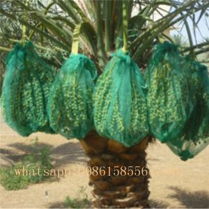 China PE monofilament date palm bag with strong black rop wholesale