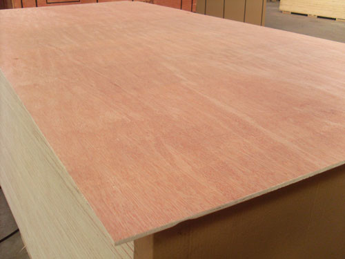 China Poplar Core Commercial Plywood Bintangor B/BB Face 2 Time Hot Press Processing wholesale