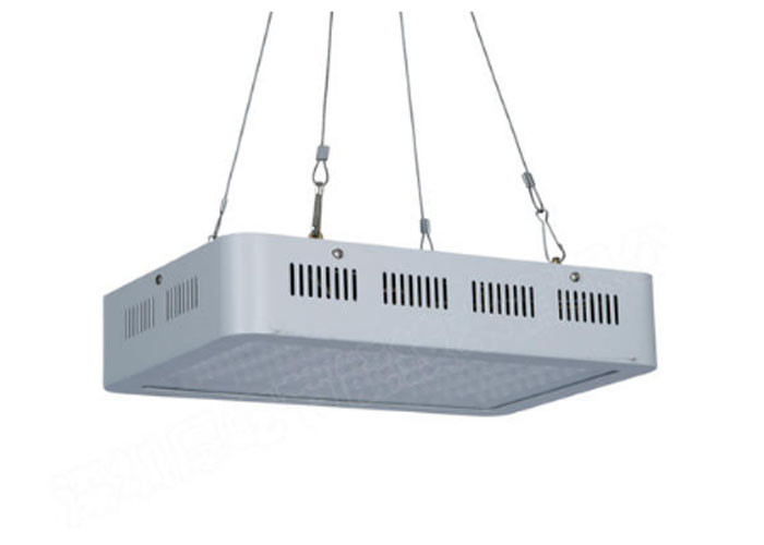 China Eco Friendly LED Grow Lights , Vegetable Bloom Switchable Grow Lights wholesale