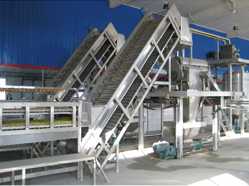 China 380V 2T/H Stainless Steel Mango Pulp Production Line wholesale