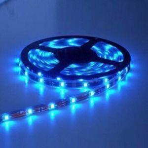 China 12V/24V SMD Flexible LED Strip with Energy-saving and Environment Low Brightness wholesale