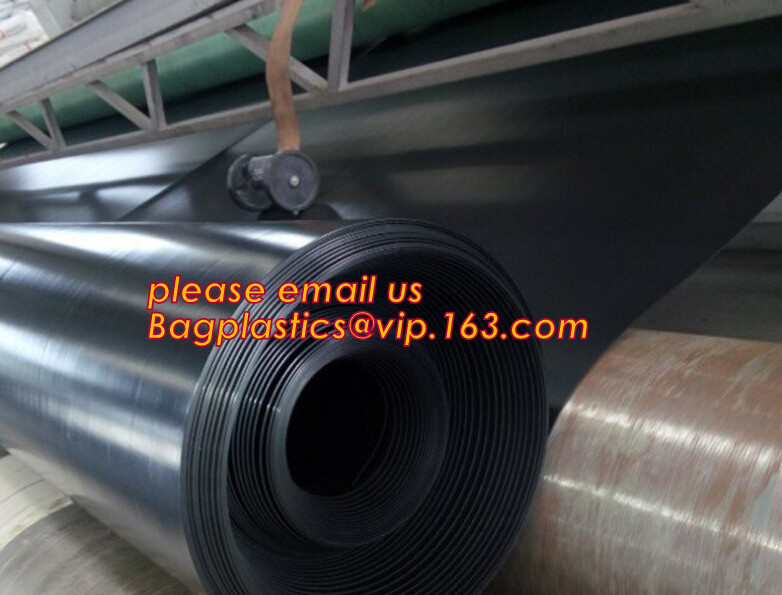 China eco-friendly hdpe geomembrane liner geomembrane price,eco-friendly hdpe geomembrane liner waterproofing membranes BAGEAS wholesale
