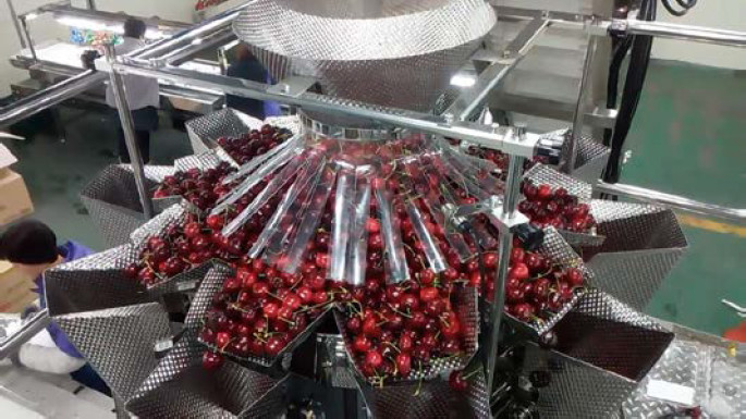 China Food Snacks Semi Automatic Packing Machine 304SS With Multihead Weigher wholesale