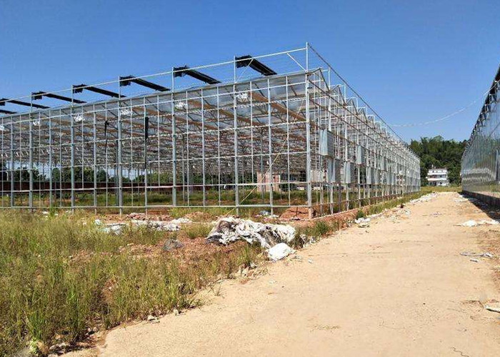 China Integrated Tunnel Polycarbonate Agricultural Greenhouse wholesale