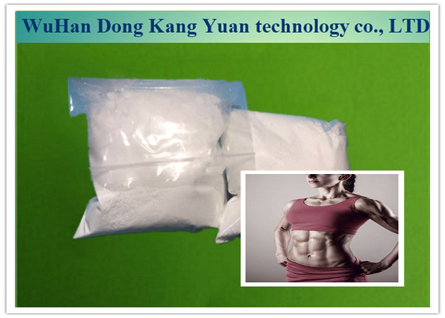 China Androgenic Steroid Testosterone Undecanoate Powder 5949-44-0 For Increase Strength wholesale