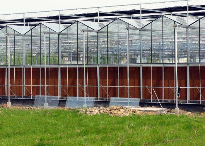China Steel Vegetables Hydroponic Multi Span Glass Greenhouse wholesale