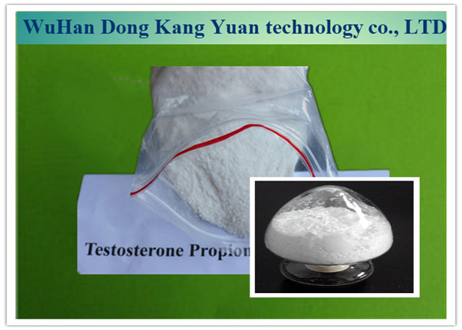 China 1045-69-8 Steroid Hormone Powder Testosterone Acetate Powder For Male Get Muscle wholesale