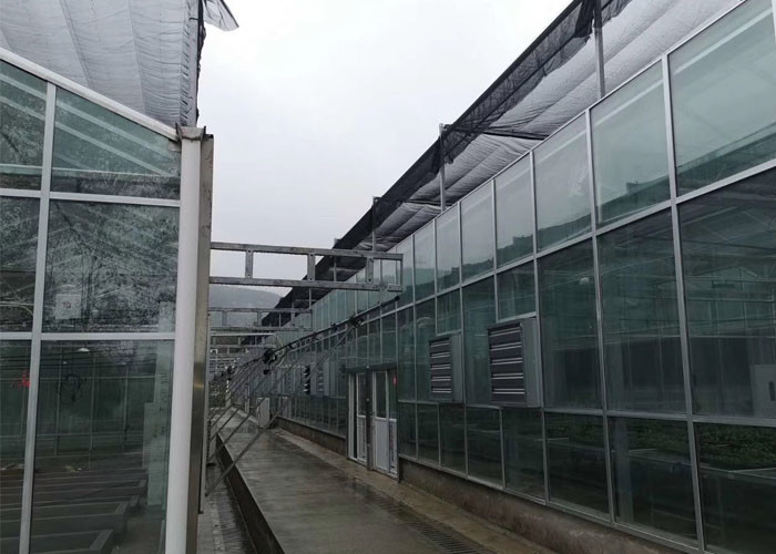 China Farm Tempered Glass Greenhouse Hollow Insulated Building Facade High Strength wholesale