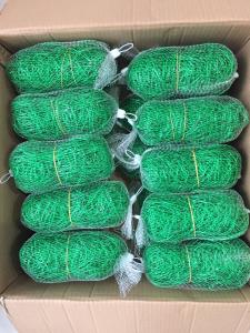 China Green PE Green Trellis Netting Climbing Frame Gardening Net Anti Pest Weed Plant Garden wholesale