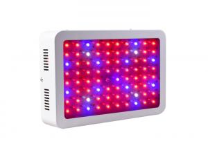 China Ip44 Indoor Led Grow Lamps Environmental Friendly For Greenhouse / Grow Tent wholesale