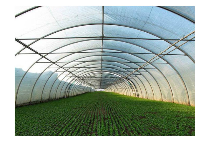 China Agricultural Greenhouse Steel Pipe High Tunnel Durable Maintenance Free wholesale