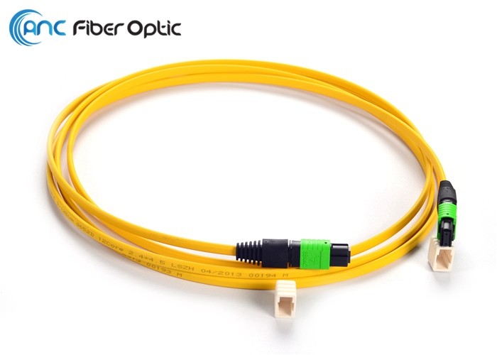 China Ribbon Fiber Optic Cable Types SM OM3 12 Fiber MPO Female To MPO Female wholesale