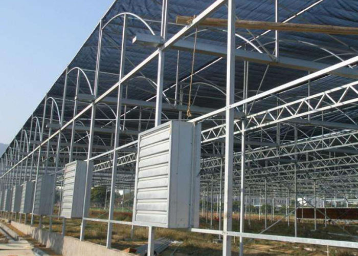 China Hot Dip Galvanized Steel Greenhouse Venlo Type For Farming Planting wholesale