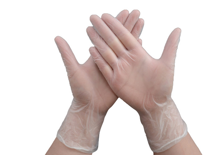 China CPE Disposable Examination Glove wholesale