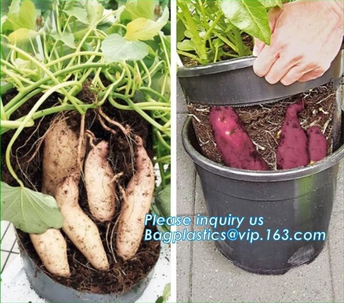 China Tomato Potato Carrot Onion Peanut Growing Pot Garden Planter Pot,PP potato grow pot planting bag, bagplastics, bagease wholesale