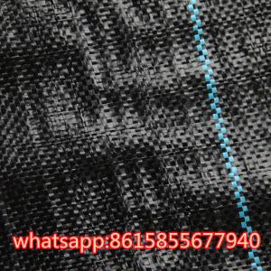 China garden ground cover fabric/weed barrier mat/plastic pp anti weed agro weed control mat wholesale