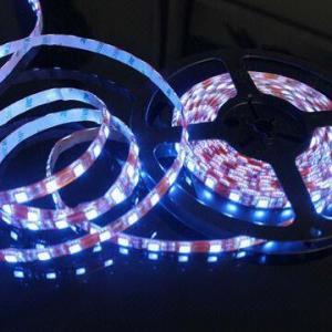 China Dimmable Multicolor Changeable LED Strip with 7.2W Power and IP Waterproof Grade IP44 wholesale