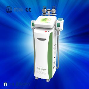 China Fat dissolving cryolipolysis machine / vacuum slimming beauty machine with Bottom Price wholesale