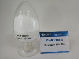 China Glyphosate 95%TC,Agrochemical Pesticides , Non Selective Systemic Herbicide For Tea / Fruit wholesale