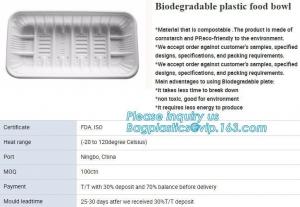 China blister packaging tray, rectangular plastic food tray, CornStarch PLA cement tray wholesale