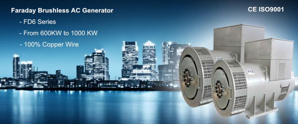 Low Iron-loss Silicon Steel Brushless Alternator Manufacturer
