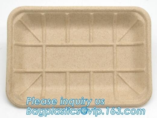 China corn starch biodegradable meat tray corn starch dinnerware sets  biodegradable cake tray Rectangular Tray Paper Food Tra wholesale