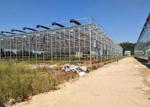 China Venlo Glass Greenhouse , Multi Span Greenhouse For Hydroponics System wholesale