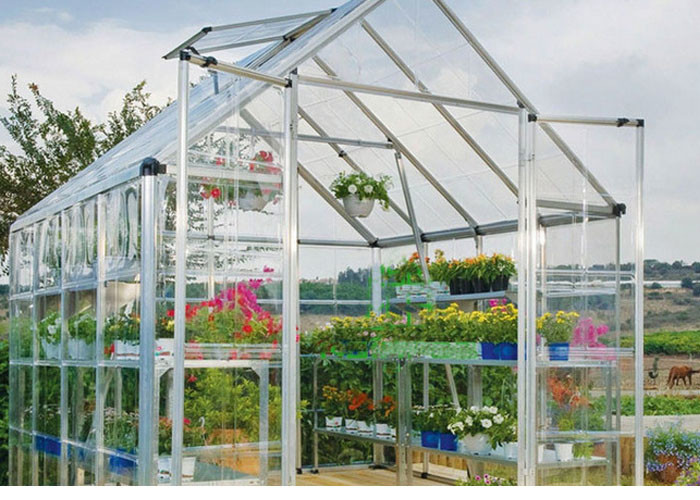 China White Clear One Stop Gardens Greenhouse , 10mm Polycarbonate Sheet Greenhouse wholesale