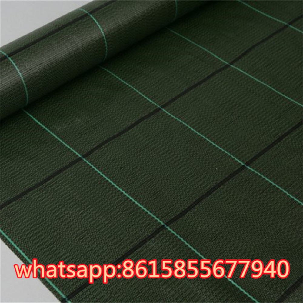 China PP plastic black anti weed mat/woven fabric mat/Black color anti grass ground cover wholesale