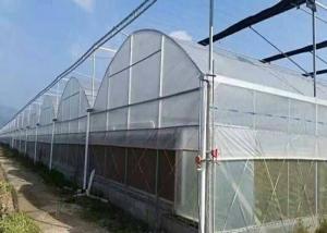 China Hot Galvanized Frame Dome Lettuces Plastic Cover Greenhouse wholesale